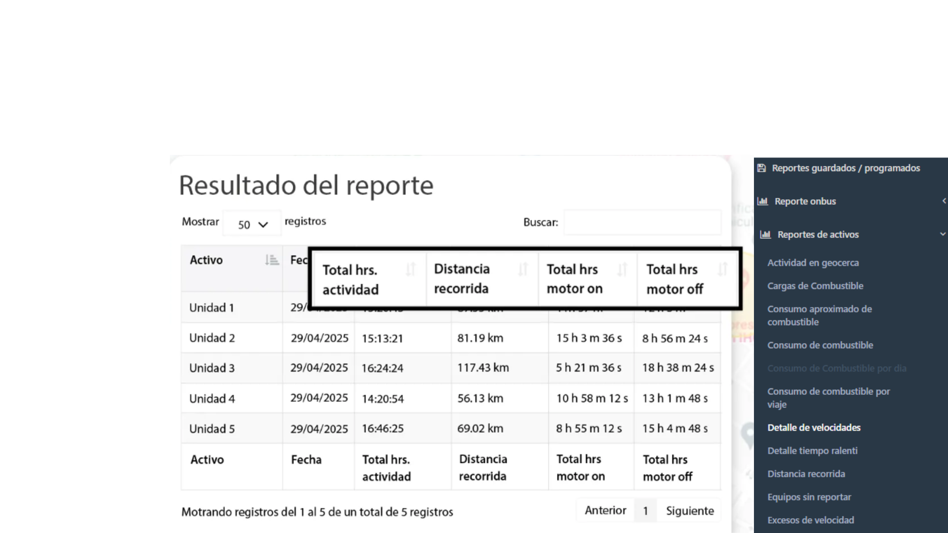 Reportes automáticos